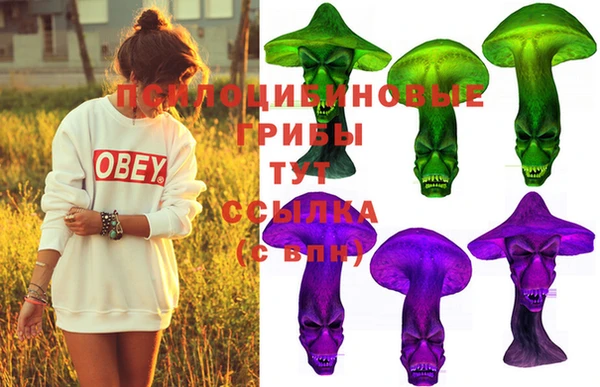 таблы Верхний Тагил