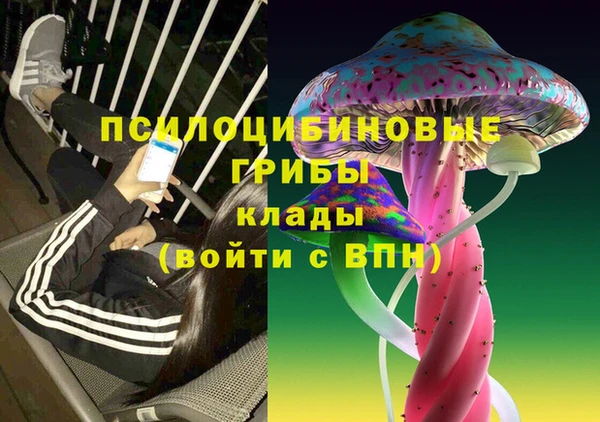 таблы Верхний Тагил