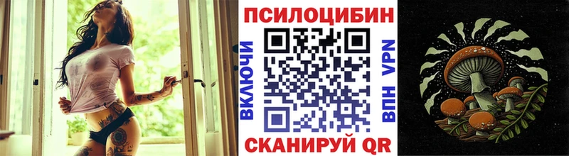 Псилоцибиновые грибы мицелий  Рузаевка 