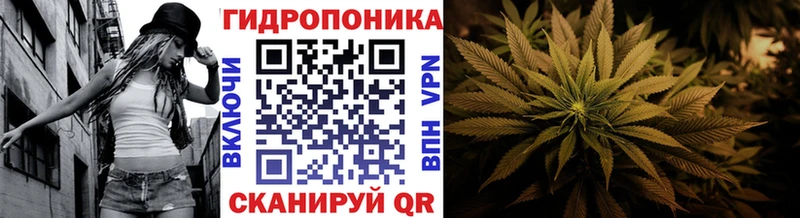где продают наркотики  Рузаевка  Шишки марихуана ГИДРОПОН 